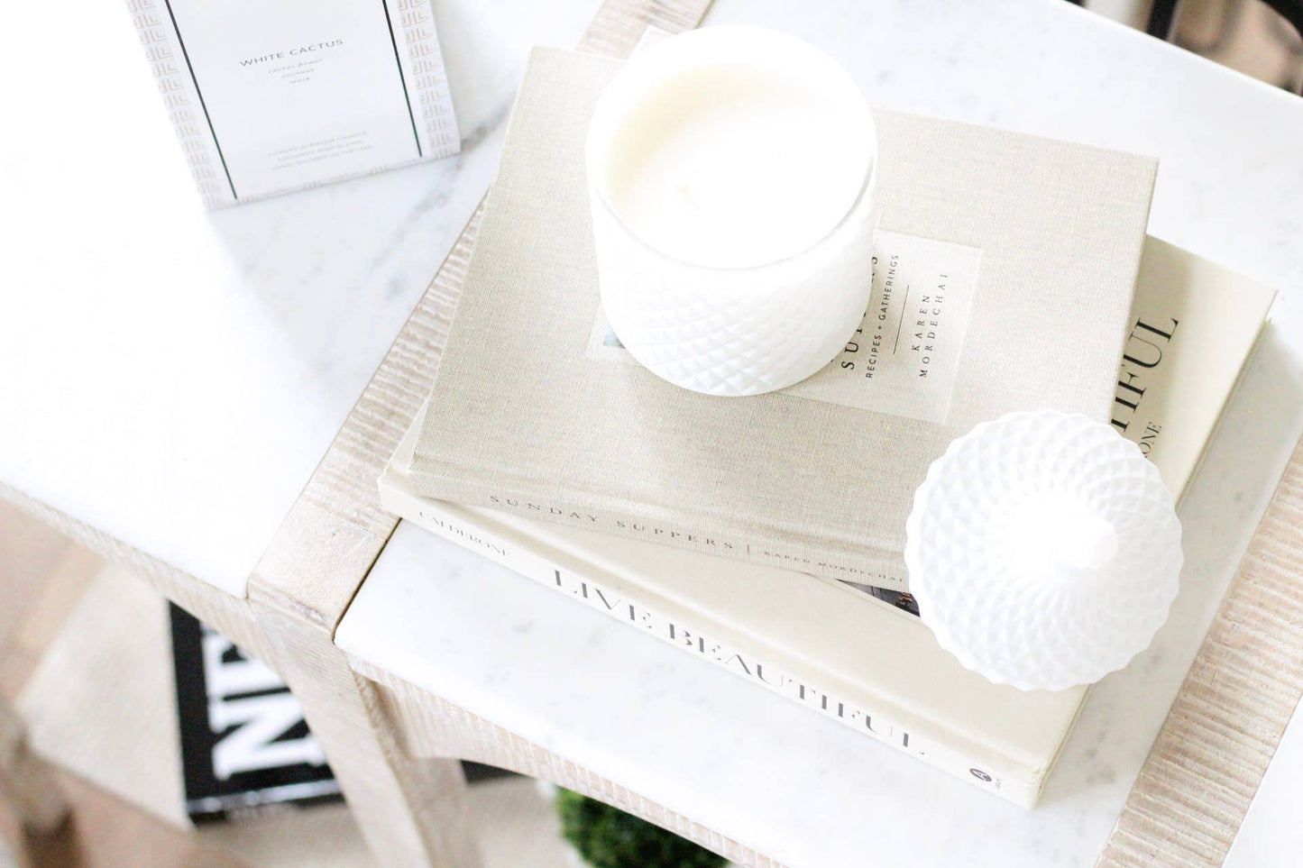 White Cactus | Everest Collection